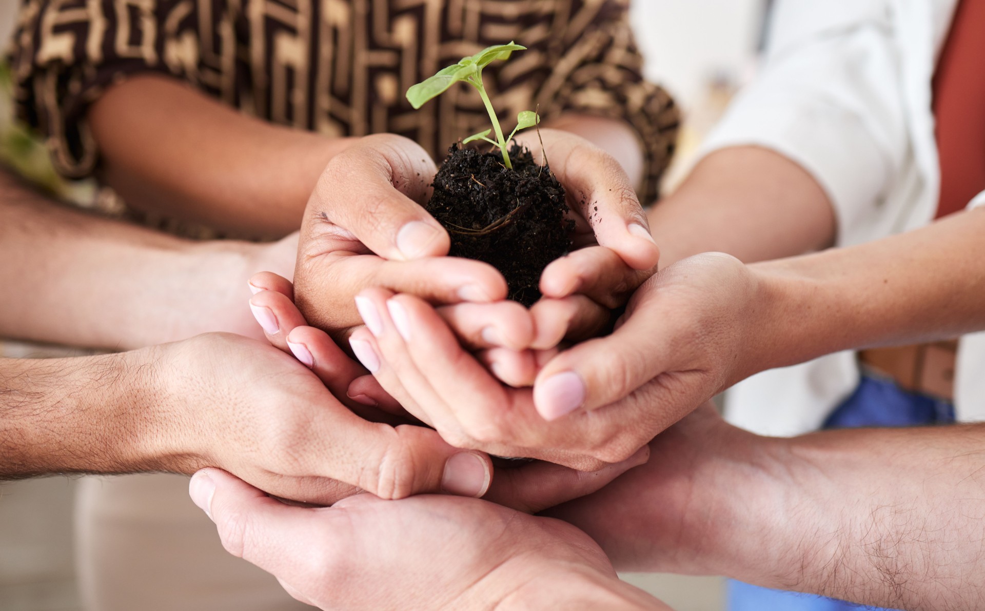 L’économie verte, la durabilité des mains végétales et la croissance mondiale du travail d’équipe avec espoir, aide et confiance pour la terre, la communauté future et le succès environnemental. Diversité planétaire, innovation et responsabili